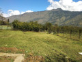 road-touch-plots-for-sale-near-bajaura-small-3