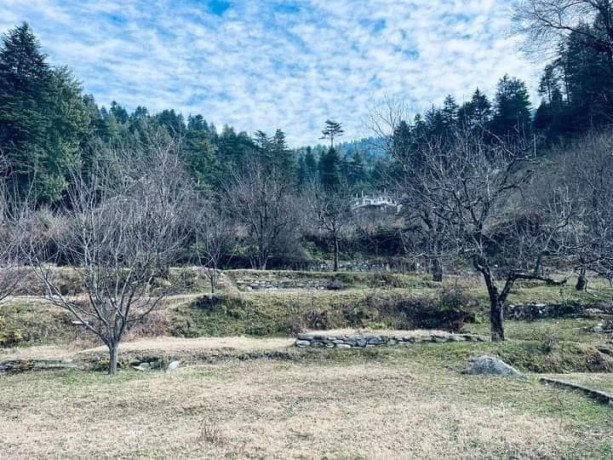 plot-for-sale-in-naggar-big-0